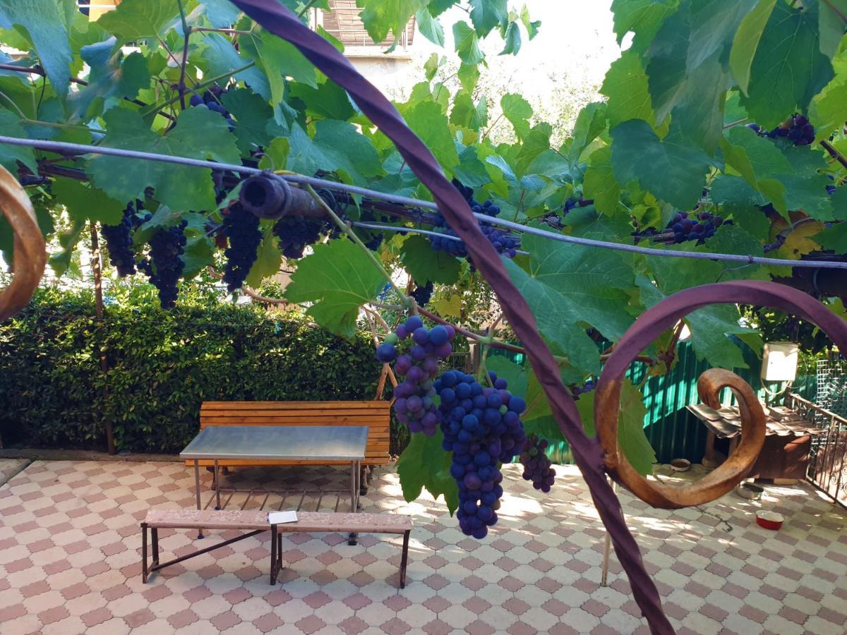 Guest House Lykhny กากรา ภายนอก รูปภาพ