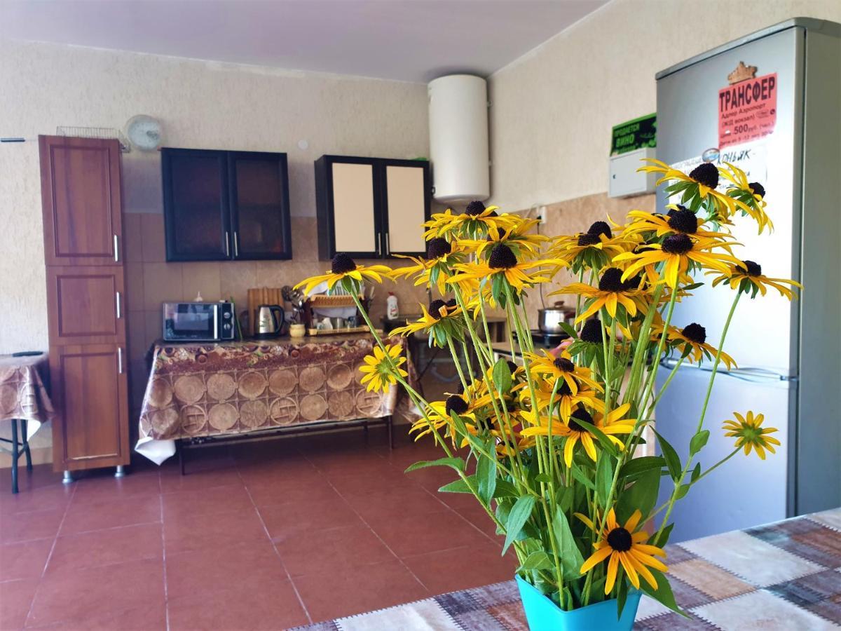 Guest House Lykhny กากรา ภายนอก รูปภาพ