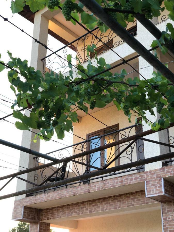 Guest House Lykhny กากรา ภายนอก รูปภาพ